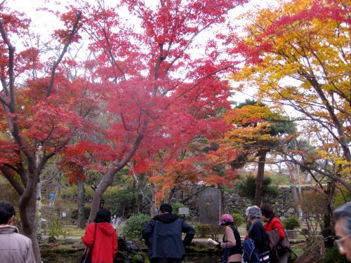 Momiji1