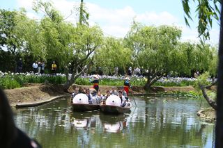 IMG_2134 IMG_2134