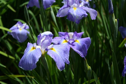 IMG_2144 IMG_2144